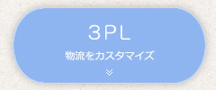 3PL